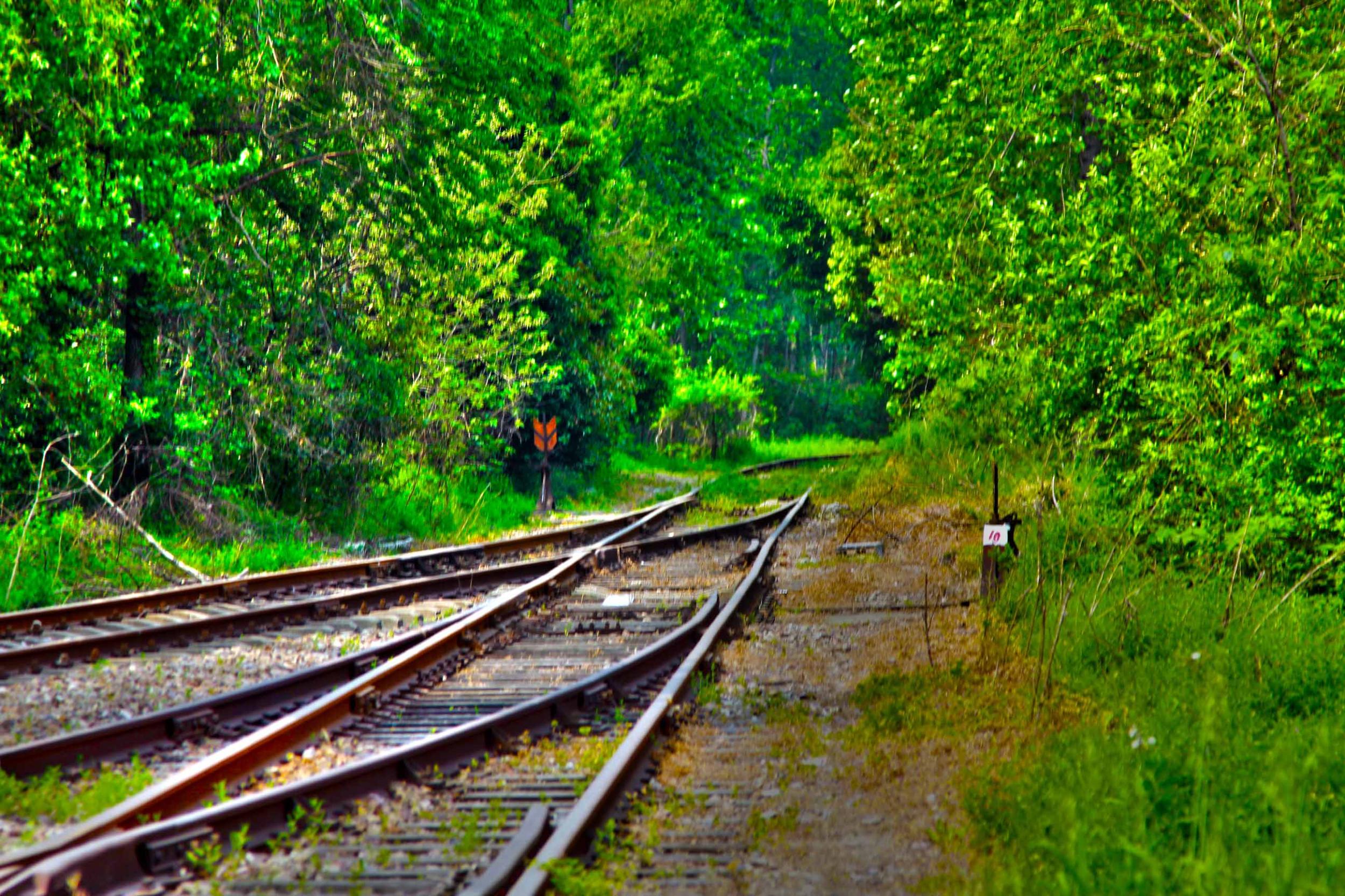 我省今年年內有4條鐵路線投入運營更多出行選擇！
