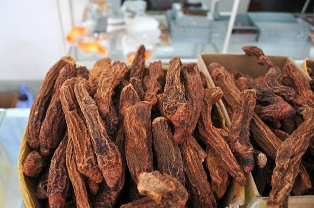 敦煌神奇而神秘的“沙漠人參”—鎖陽(yáng)