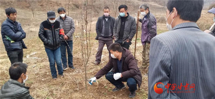 【甘肅全民戰(zhàn)“疫”】隴南徽縣：花椒田里培訓(xùn)忙，戰(zhàn)疫春耕兩不誤