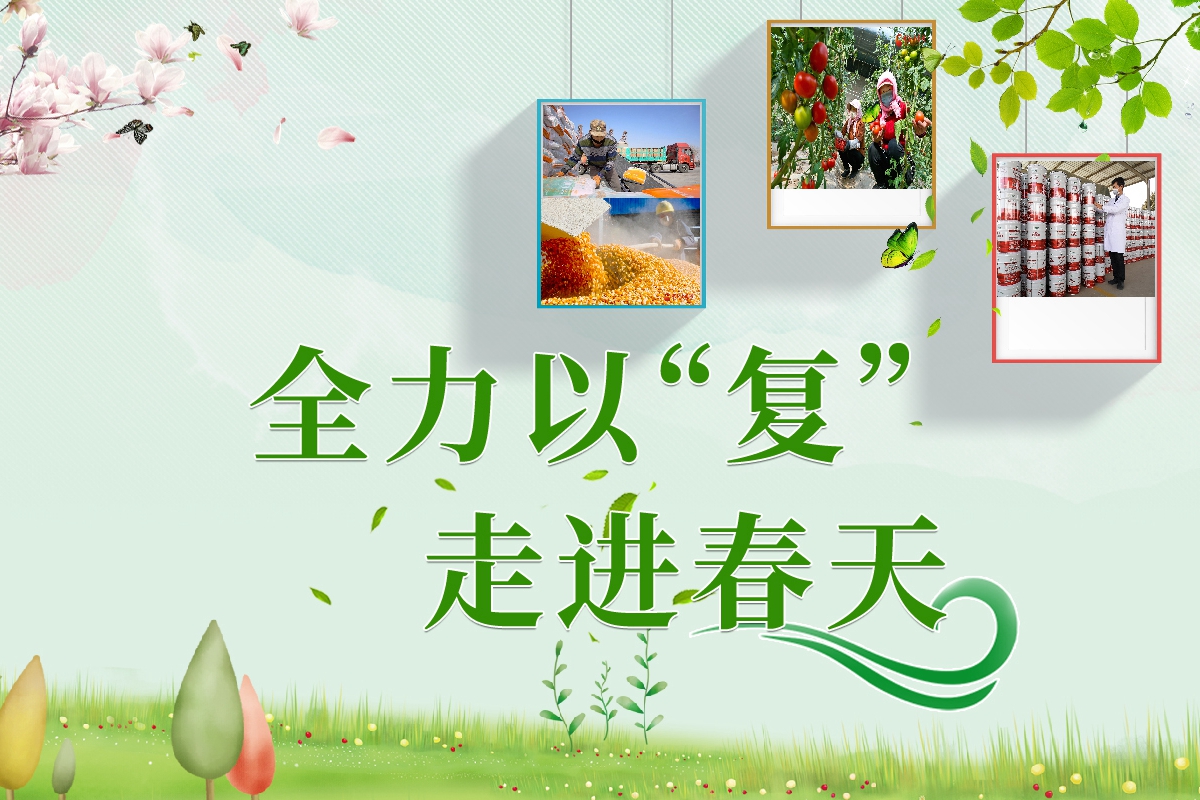 長圖|全力以“復”！甘肅走進春天里  