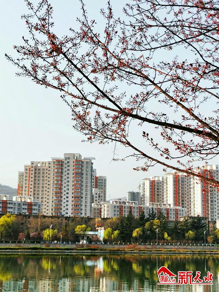 春天，古城天水的十個(gè)美麗瞬間