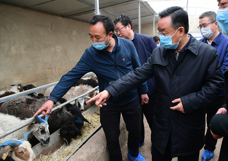 唐仁健在岷縣宕昌縣調(diào)研指導(dǎo)脫貧攻堅工作時強調(diào) 把好收官標準 確保脫貧質(zhì)量 奮力奪取脫貧攻堅全面勝利