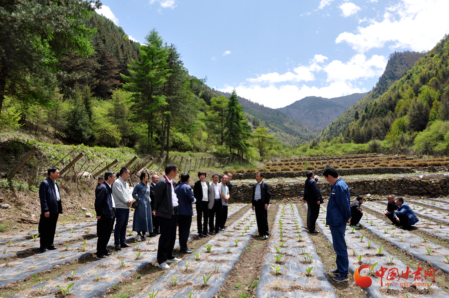 白龍江博峪河保護(hù)局開展產(chǎn)業(yè)發(fā)展、義務(wù)勞動成果現(xiàn)場觀摩交流活動
