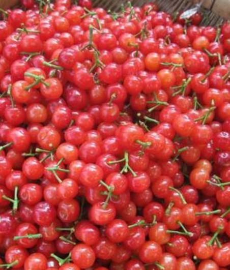 蘭州機場開設(shè)兩條農(nóng)產(chǎn)品綠色檢查通道