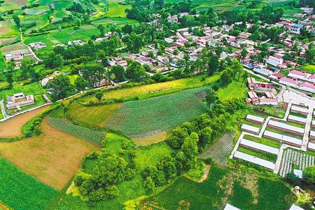 【溫暖的回響 滄桑巨變 飲水思源】這條路，通往幸福