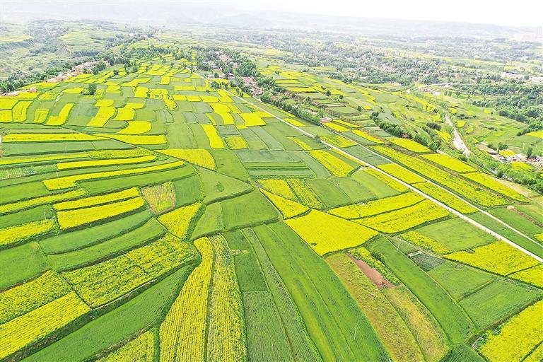 奮楫揚(yáng)帆風(fēng)正勁 爭先進(jìn)位正當(dāng)時——臨夏州上半年經(jīng)濟(jì)社會發(fā)展和重點(diǎn)工作綜述