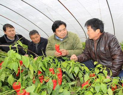 蘭州市農(nóng)業(yè)科技人員“三下鄉(xiāng)”為農(nóng)民開(kāi)展技術(shù)培訓(xùn)