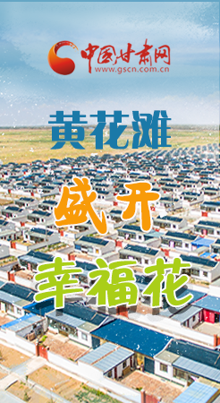 【跟著總書記看甘肅】長(zhǎng)圖|武威黃花灘盛開幸?；?