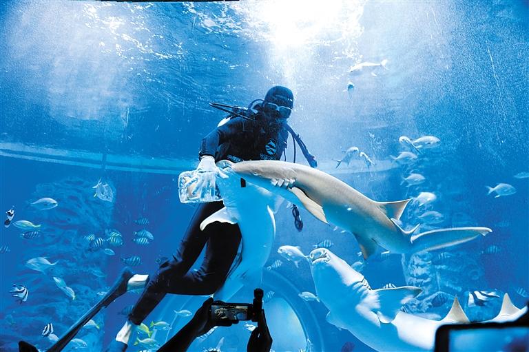 蘭州海洋公園 金昌火星1號基地 這個暑假我們“上天入?！?>
        </a><em>蘭州海洋公園 金昌火星1號基地 這個暑假我們“上天入海”</em></li>
    <li><a  target=