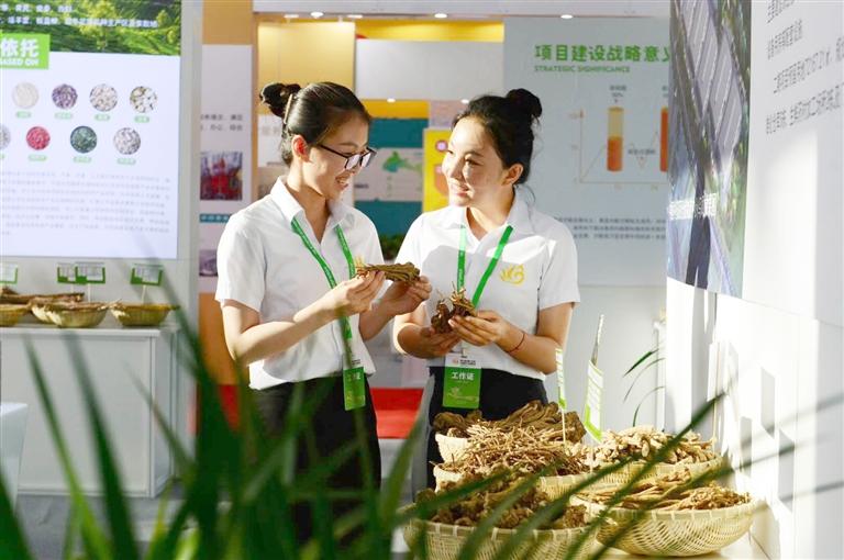 定西，從“千年藥鄉(xiāng)”邁向“中國(guó)藥都”