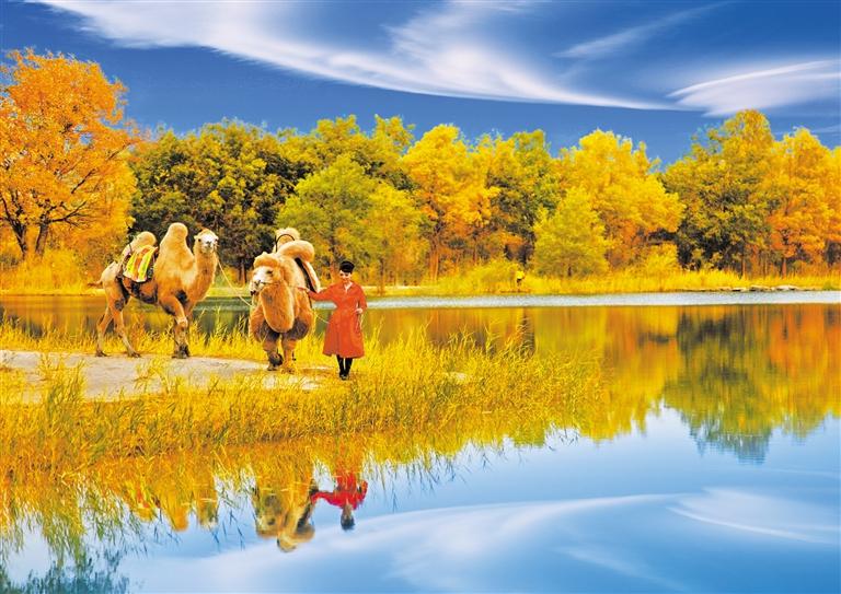 國(guó)慶長(zhǎng)假，去金塔遇見最美胡楊