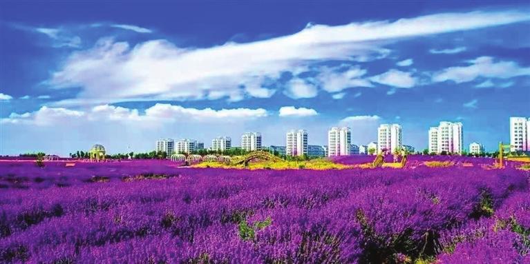 “三連冠”！金昌蟬聯(lián)全國文明城市