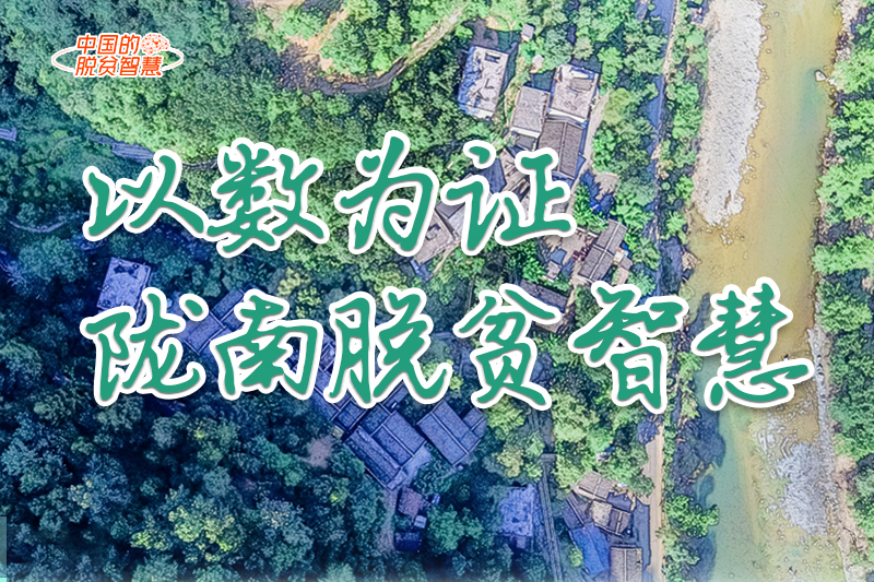 【中國的脫貧智慧】以數(shù)為證！隴南脫貧智慧來了！