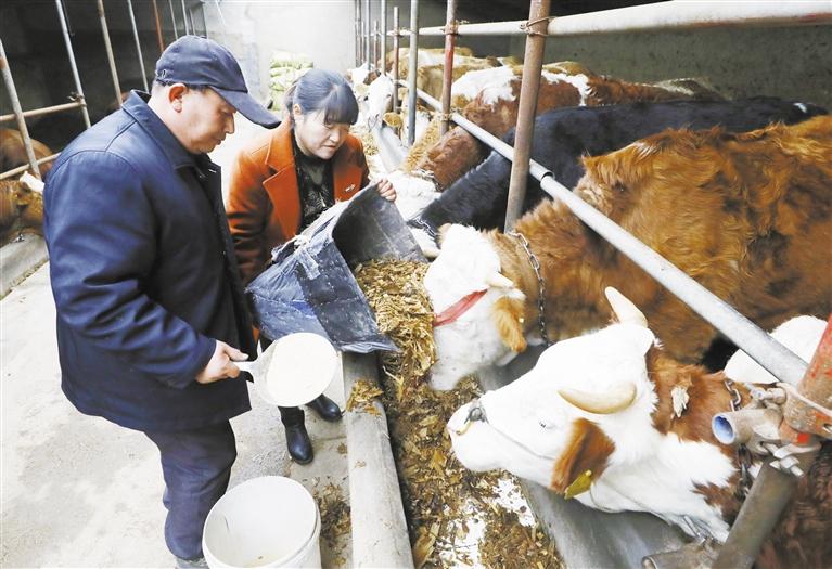 我和我的家鄉(xiāng)丨定西臨洮縣黨家墩村：“?！碑a(chǎn)業(yè)帶來“?！比兆?>
        </a><em>我和我的家鄉(xiāng)丨定西臨洮縣黨家墩村：“?！碑a(chǎn)業(yè)帶來“?！比兆?/em></li>
    <li><a  target=