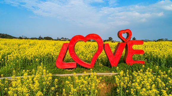 “l(fā)ove”創(chuàng)意拍照墻。廖濤 攝