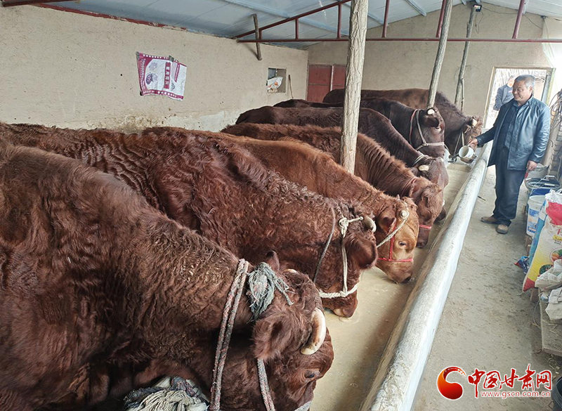 平?jīng)鰶艽ǎ骸芭！碑a(chǎn)業(yè)鋪就致富路