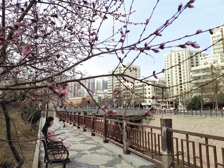 蘭州“第一朵花”開(kāi)了！