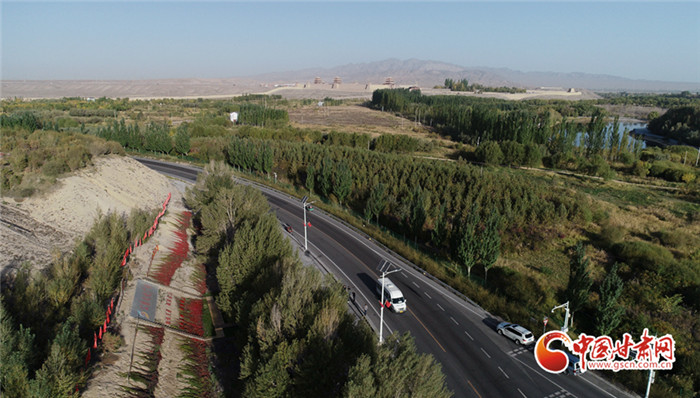 甘肅交通人談“八棵樹精神” ：甘當(dāng)路石砥礪奮進(jìn)新時代