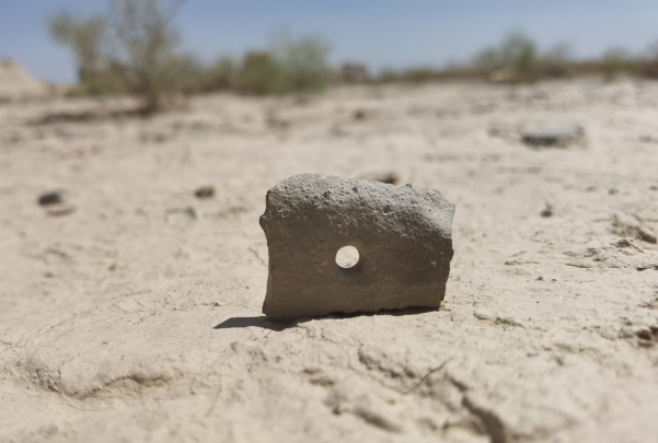 插圖1：河西走廊上遺存的古陶片。攝影：陳曉斌。拍攝日期：2020年6月。