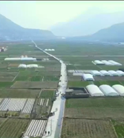 甘肅省將落實(shí)各項措施 堅決完成今年糧食播種面積