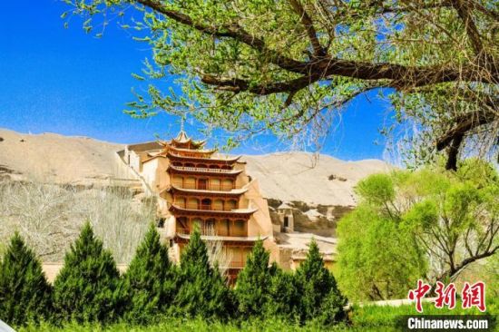 4月的敦煌莫高窟景區(qū)春意盎然。(資料圖) 王斌銀 攝