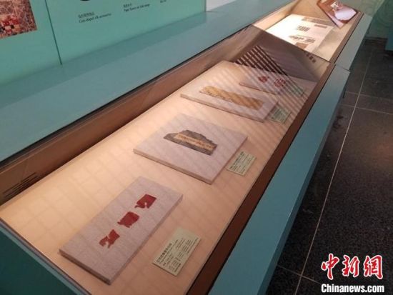 圖為展覽現(xiàn)場(chǎng)?！《鼗脱芯吭汗﹫D