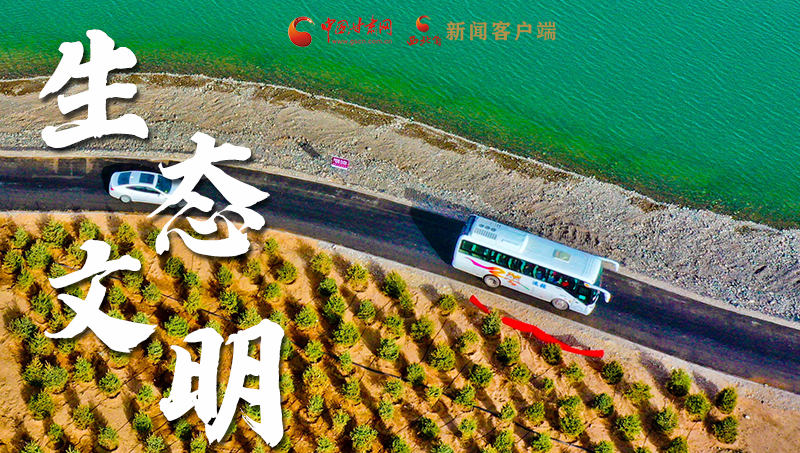 彈幕海報丨熱議甘肅省委十三屆十六次全會 網(wǎng)民聲音在回響！