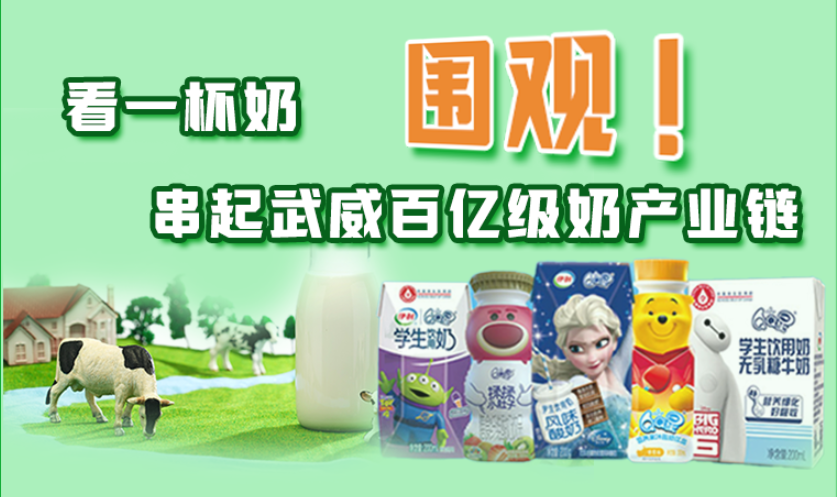 圖解|圍觀！看一杯奶串起武威百億級(jí)奶產(chǎn)業(yè)鏈