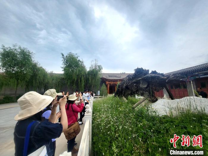 圖為媒體記者在青海永錄民俗參觀采訪?！⊙Φ?攝