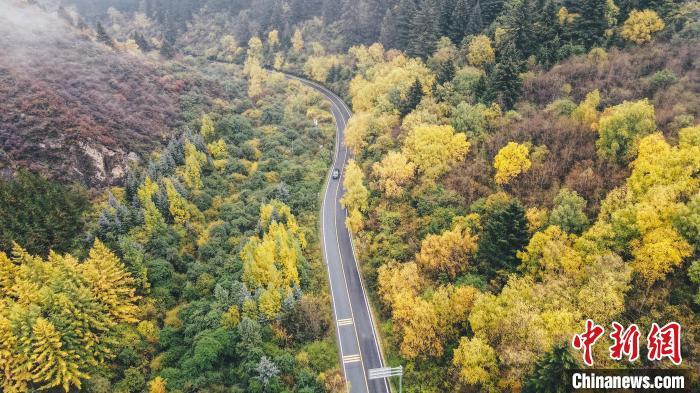深秋，航拍位于蘭州市榆中縣的興隆山，景色如畫。金峯 攝</p>
<p>