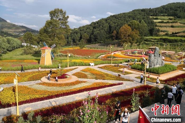 圖為航拍甘肅甘南臨潭縣八角鎮(zhèn)，花海吸引游人。(資料圖)高展 攝