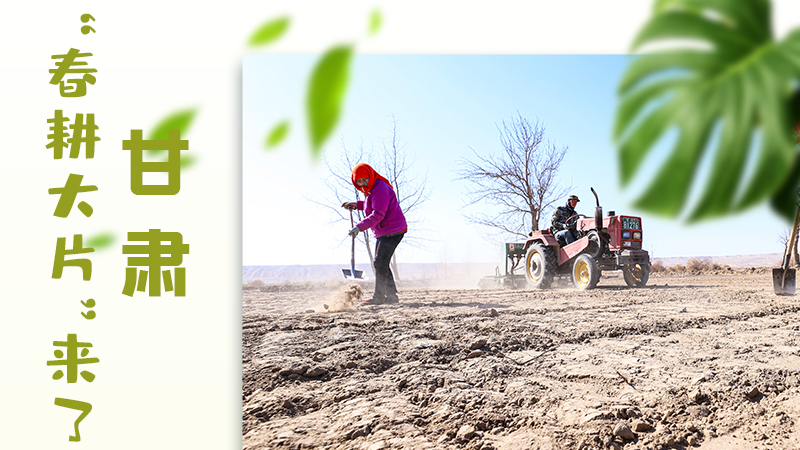 【甘快看】海報(bào)|瞧！甘肅“春耕大片”來(lái)了
