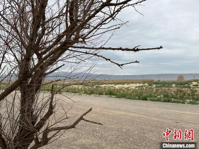 圖為位于長城墻體上的“馬面”或“敵臺”?！〈魑牟?攝