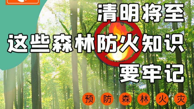 【甘快看】圖解|緊繃“安全弦”！清明，這些森林防火知識(shí)要牢記