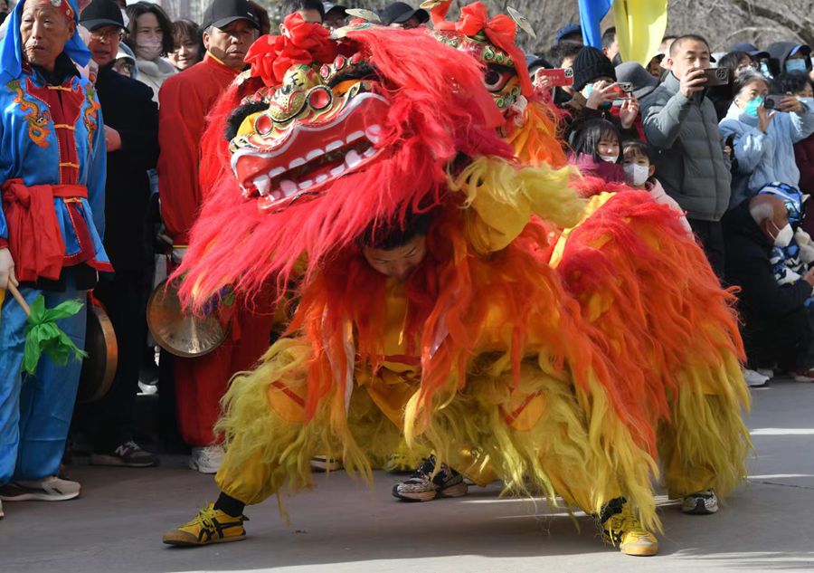 蘭州北獅表演現(xiàn)場。受訪者供圖